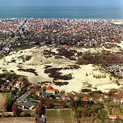 Coxyde
