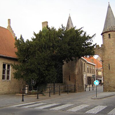 Lo-Reninge