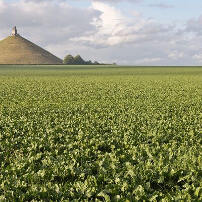 Waterloo